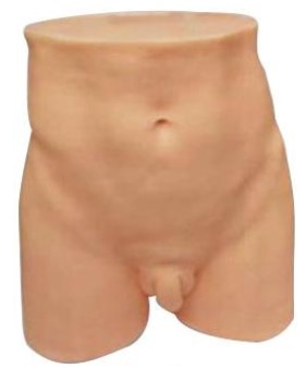 Mô hình thực hành châm cứu vùng mông